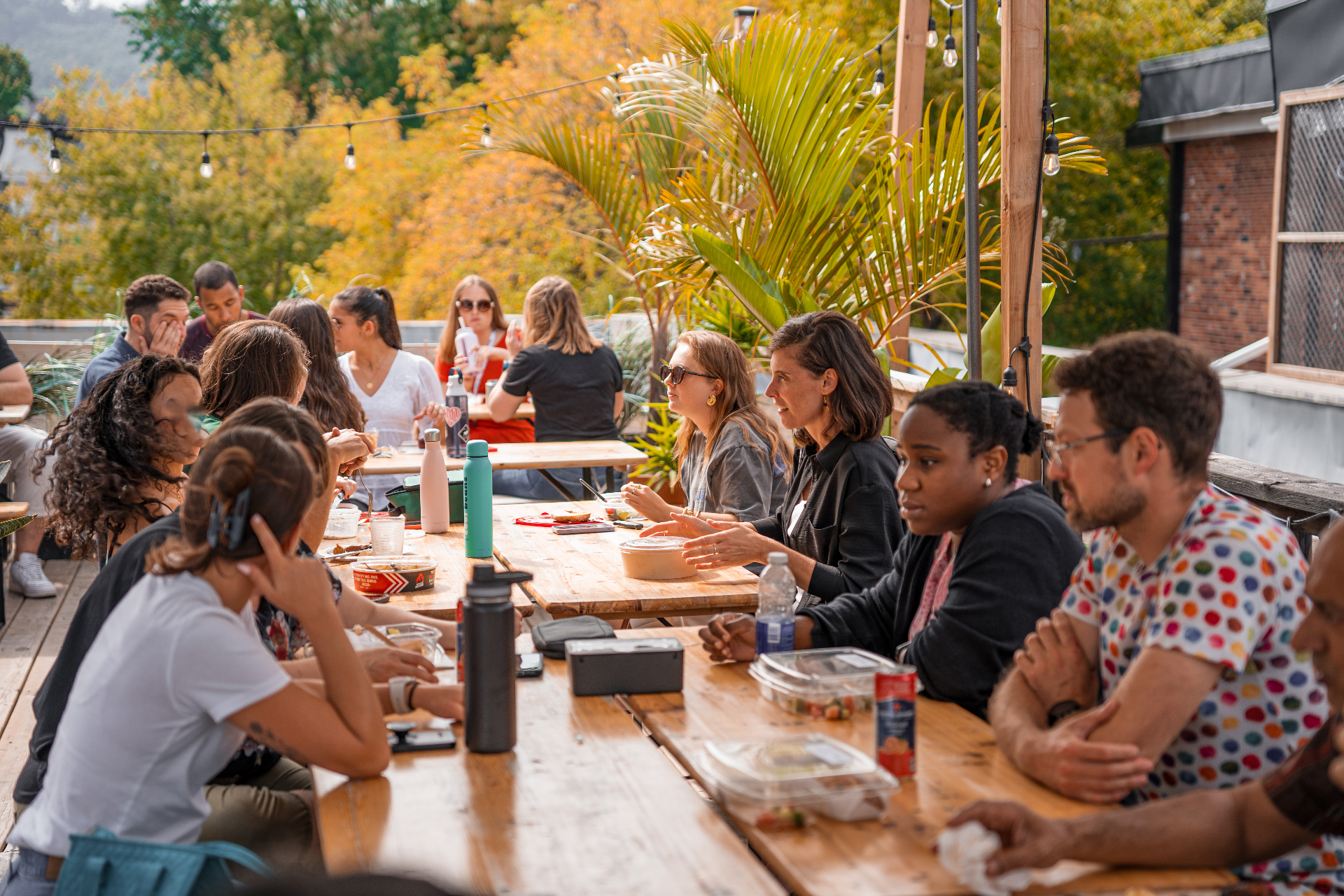 Membres de la communauté Montréal CoWork